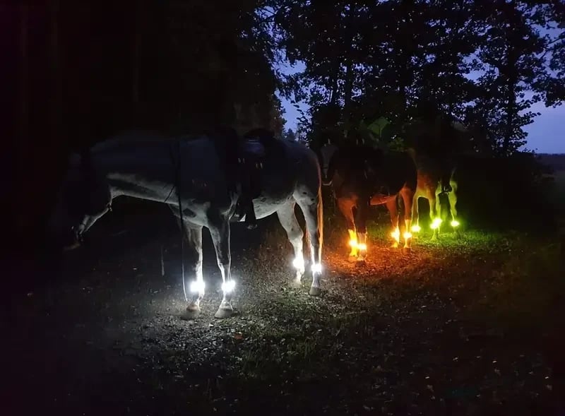 π Horse LED Leg Straps β 4 Pack | Rechargeable-Look Night Riding Safety Lights β¨